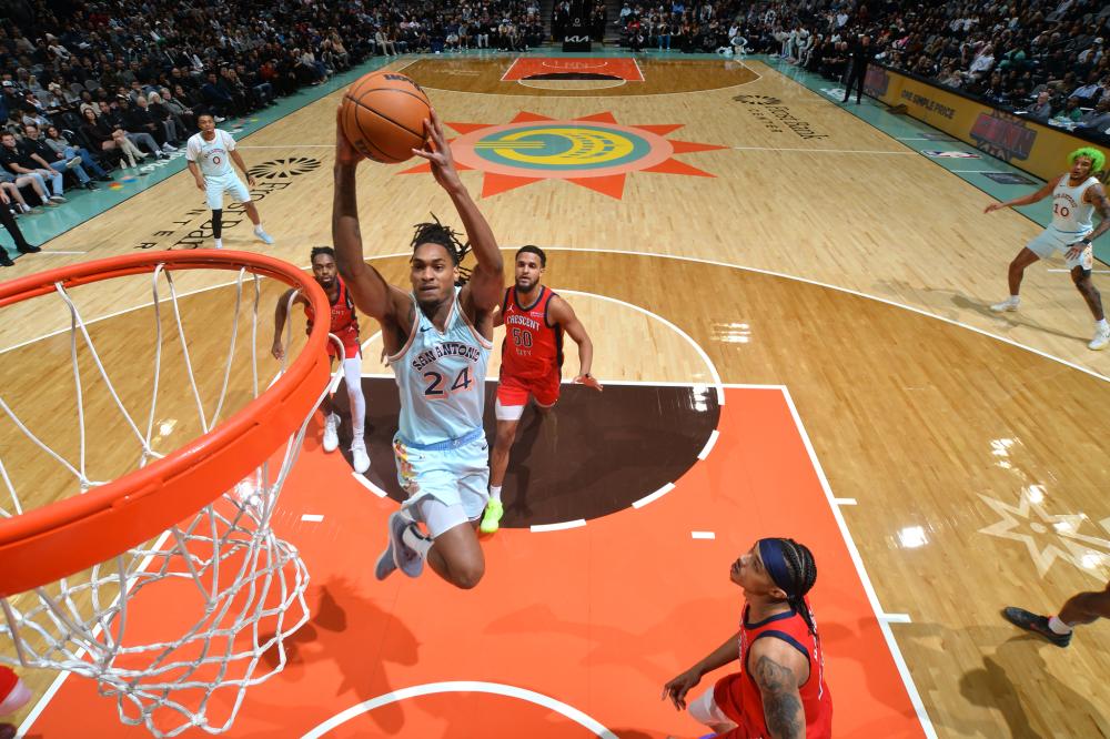 这也让灰熊 这也让灰熊