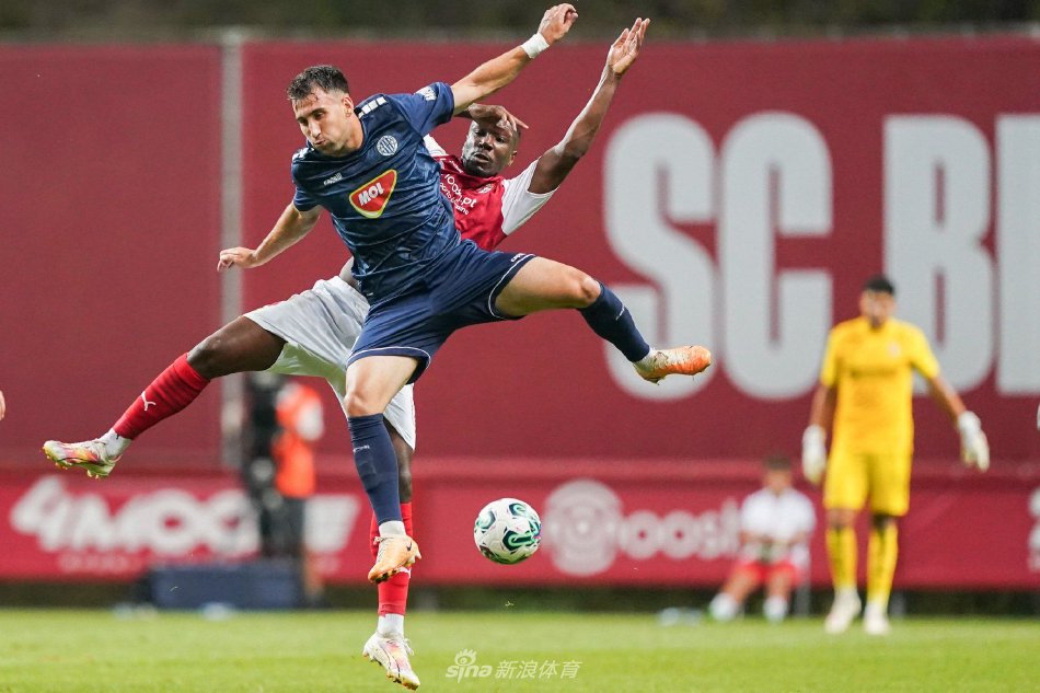 粹的情感纽 粹的情感纽