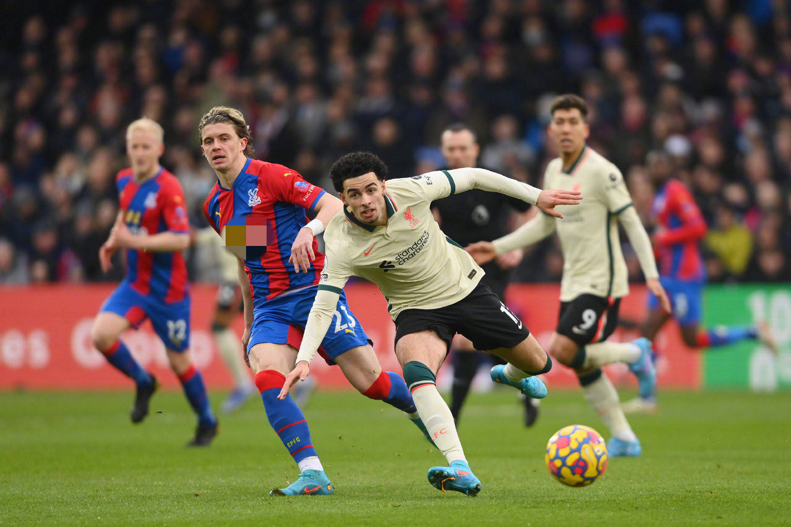 的维尼修斯 的维尼修斯